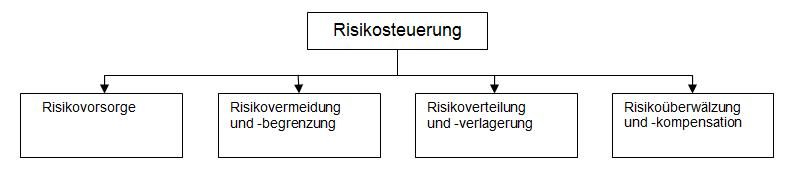 Risikosteuerung.jpg