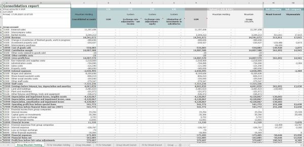 Consolidation_report-Konsolidator_web.jpg