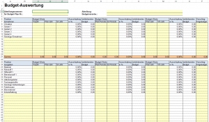 Budget-Auswertung